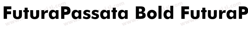 FuturaPassata Bold FuturaPassata B字体转换